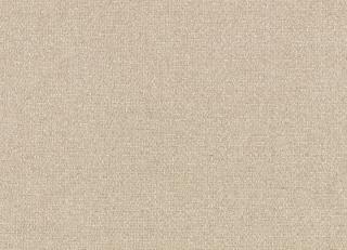 Фото - Ткани Kirkby design Graphic Nature - 606821>