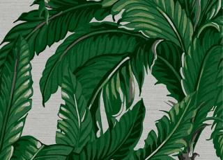 Фото - Обои Graham & Brown Genesis - 546286>