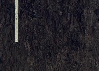 Фото - Обои Elitis Essence de liege - 509468>