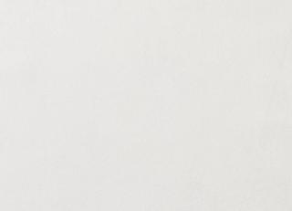 Фото - Ткани Foresti Home Collection Velluto Fantasy - 608537>