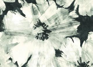 Фото - Обои Seabrook Avant Garde - 216012>