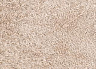 Фото - Обои Elitis Indomptee - 377186>