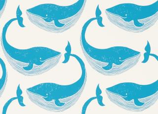 Фото - Обои с животными - 331241>