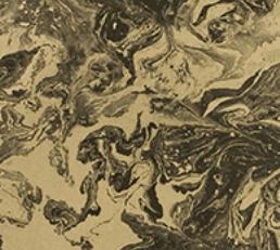 Фото - Обои Christian Lacroix Belles Rives - 200664>