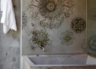 Фото - Стеклообои - 250001>