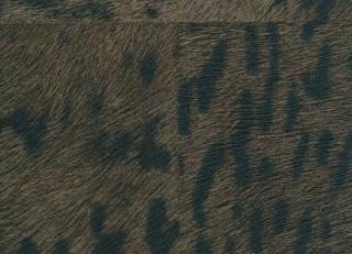 Фото - Обои Elitis Sauvages - 605249>