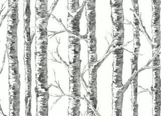 Фото - Обои York Wallcoverings Black&White - 548656>