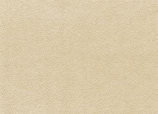 Фото - Ткани Nina Campbell Brodie Weaves - 258762>