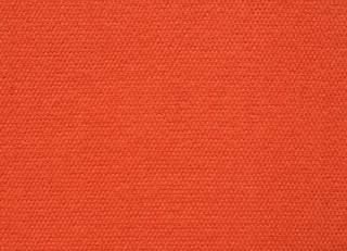 Фото - Ткани Lelievre Essentiel - 381454>