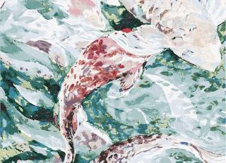 Фото - Ковры Tapis Rouge Koi Pond - 591207>