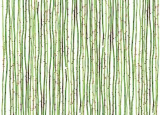 Фото - Обои Mr Perswall Daily Details - 234490>