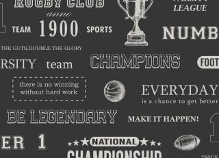 Фото - Обои Esta Home College - 559466>