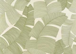 Фото - Обои Pierre Frey Iles Enchantees - 597294>