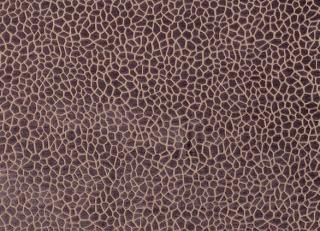 Фото - Ткани Matthew Williamson Samana - 260798>