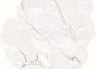 Фото - Ковры Tapis Rouge Tratto - 591456>