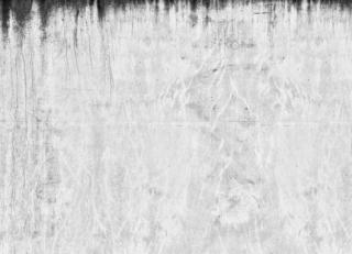 Фото - Обои Mr Perswall Communication - 234718>