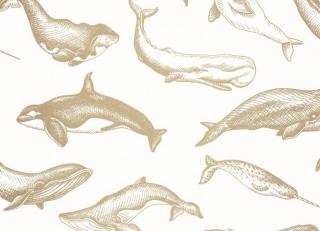 Фото - Обои Caselio Sea You Soon - 522562>