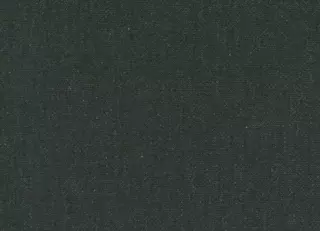 Фото - Ткани Kvadrat Re-wool 2 by Margrethe Odgaard - 627449>