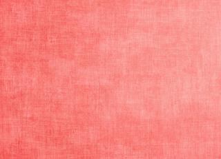 Фото - Обои Caselio Delicate - 226932>