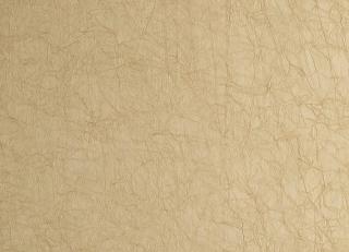 Фото - Обои Desima Object Line - 576895>