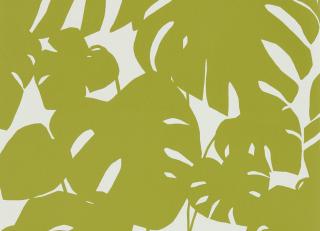 Фото - Обои Scion Nuevo - 368402>