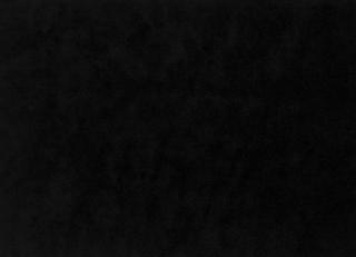 Фото - Ткани Christian Lacroix Atelier - 260995>