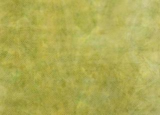 Фото - Ткани Designers Guild Trasimeno - 286182>