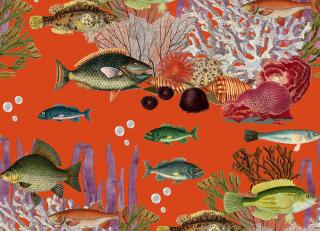 Фото - Обои Gaston y Daniela Origen Dos - 554571>