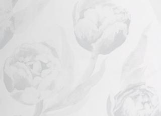 Фото - Обои Designers Guild Marquisette - 250508>