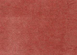 Фото - Ткани Nina Campbell Brodie Weaves - 258746>