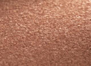 Фото - Ковры JAB Anstoetz Twinkle - 574359>