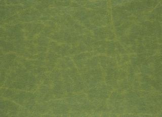 Фото - Ткани Designers Guild Arizona - 281922>