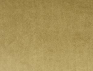 Фото - Ткани Henry Bertrand Velvet Vicenza - 446081>