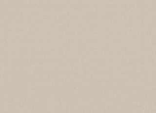 Фото - Ткани Creation Baumann Velos Noe - 632882>