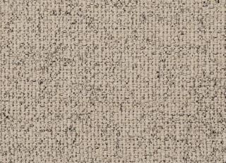 Фото - Ткани Clarke&Clarke Casanova - 295825>