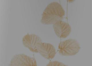 Фото - Обои Origin Park Avenue - 346250>