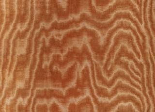 Фото - Ткани Zinc Jacopo II - 565365>