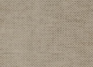 Фото - Ткани Colefax and Fowler Cassian - 260721>