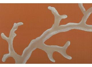 Фото - Обои Fromental Roger Thomas - 319255>