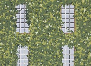 Фото - Обои Pierre Frey The Cult of Beauty - 537676>