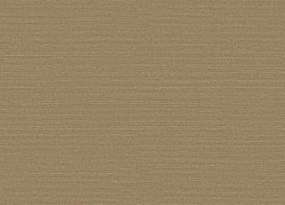 Фото - Обои Omexco Birds of Paradise - 611780>