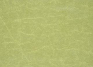 Фото - Ткани Designers Guild Arizona - 281927>