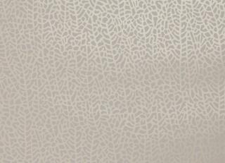 Фото - Обои Clarke&Clarke Botanica Wallcoverings - 361995>