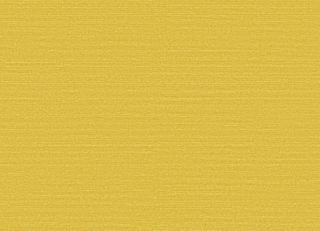 Фото - Обои Omexco Birds of Paradise - 611773>