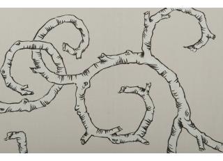 Фото - Обои Fromental Roger Thomas - 319235>