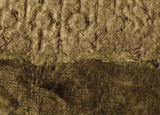 Фото - Обои Elitis Mindoro - 262081>