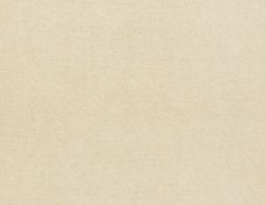 Фото - Ткани Lizzo Eternal - 502442>