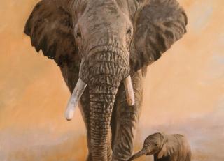 Фото - Обои Ortograf Дэвид Стрибблинг - 479042>