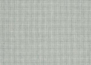 Фото - Ткани Designers Guild Brera Filato - 271773>