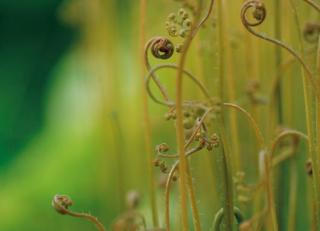 Фото - Обои Mr Perswall Photo - 235232>